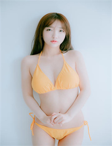 舒克和贝塔之保卫机场