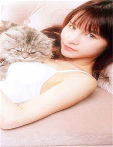 泽井芽衣种子