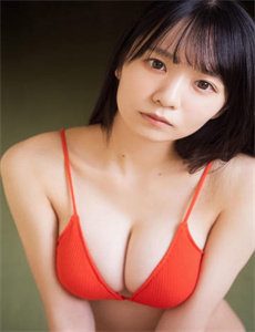 傲骨贤妻第五季