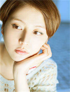 一枝梨花压海棠